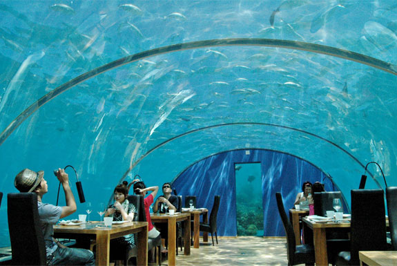 underwater-restaurant-in-Maldives-ithaa-m.jpg